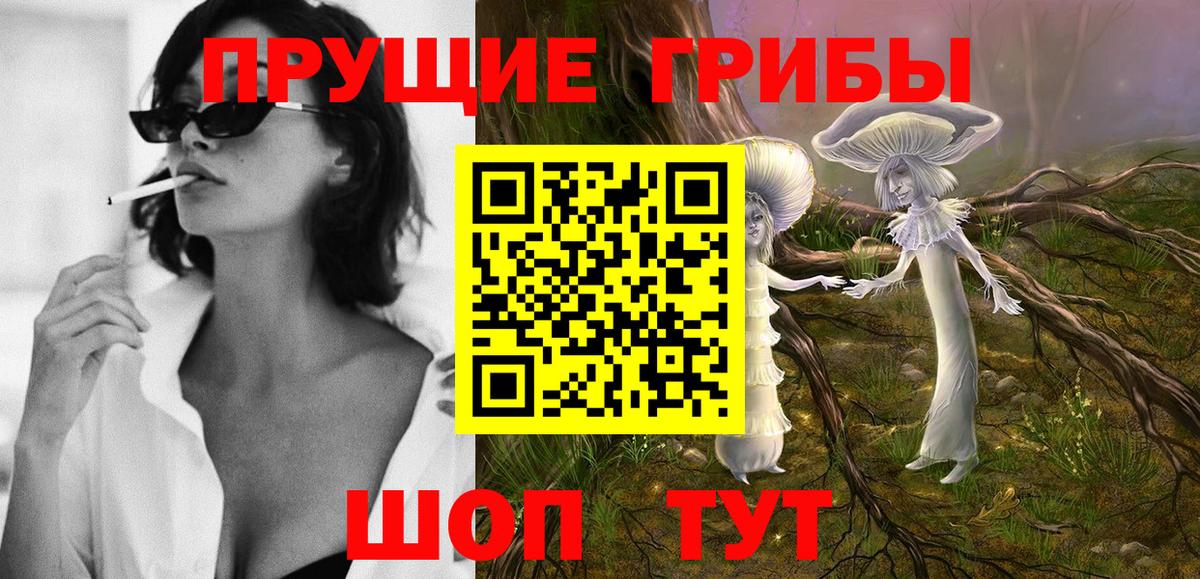 Кировск  Псилоцибиновые грибы Psilocybine cubensis  купить  цена  Вход с VPN  Псилоцибиновые грибы Cubensis 