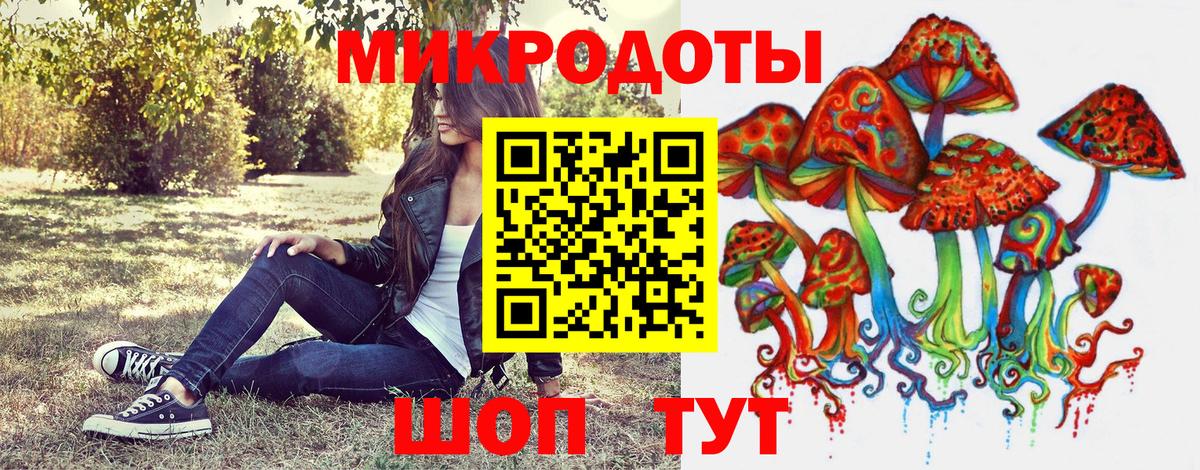 Галлюциногенные грибы Cubensis Кировск