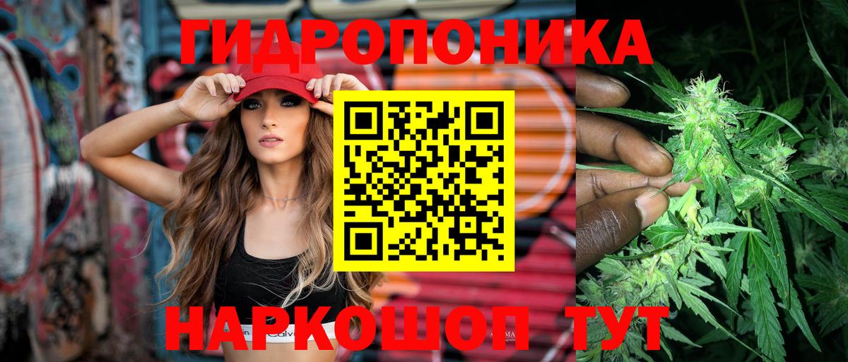 Кировск  Шишки марихуана семена  Вход с VPN  Марихуана конопля  Канабис Bruce Banner  Канабис AK-47 